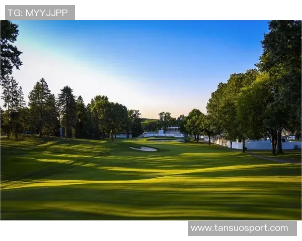 特纳谈锦标赛球场感受称其比黄色场地更让人舒适