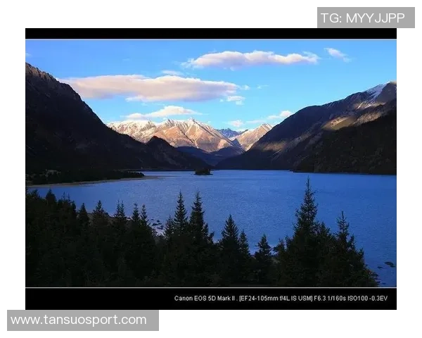 追梦西部挑战虽艰难但我们与湖船携手共创辉煌争夺冠军